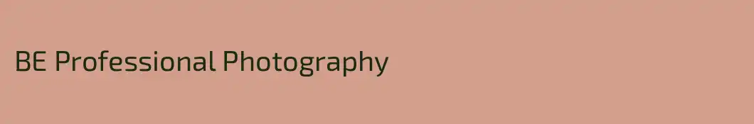 BE Professional Photography